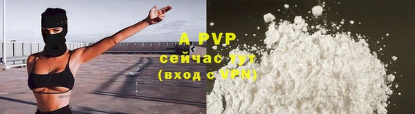 a pvp Алзамай