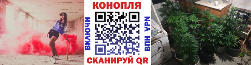 Канабис VHQ Байкальск